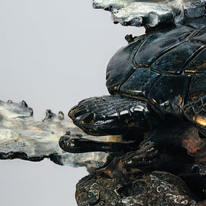 Sea Turtle Resting - Bronze