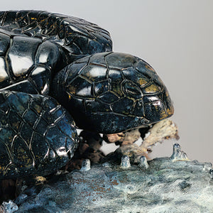 Sea Turtle Resting - Bronze