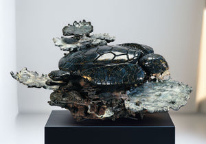 Sea Turtle Resting - Bronze
